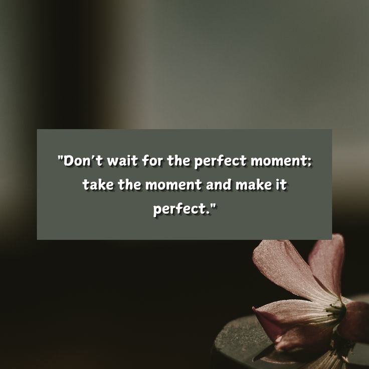 motivational quote image about success, hard work, positivity and inspiration. Don't wait for the perfect moment, take the moment and make it perfect.